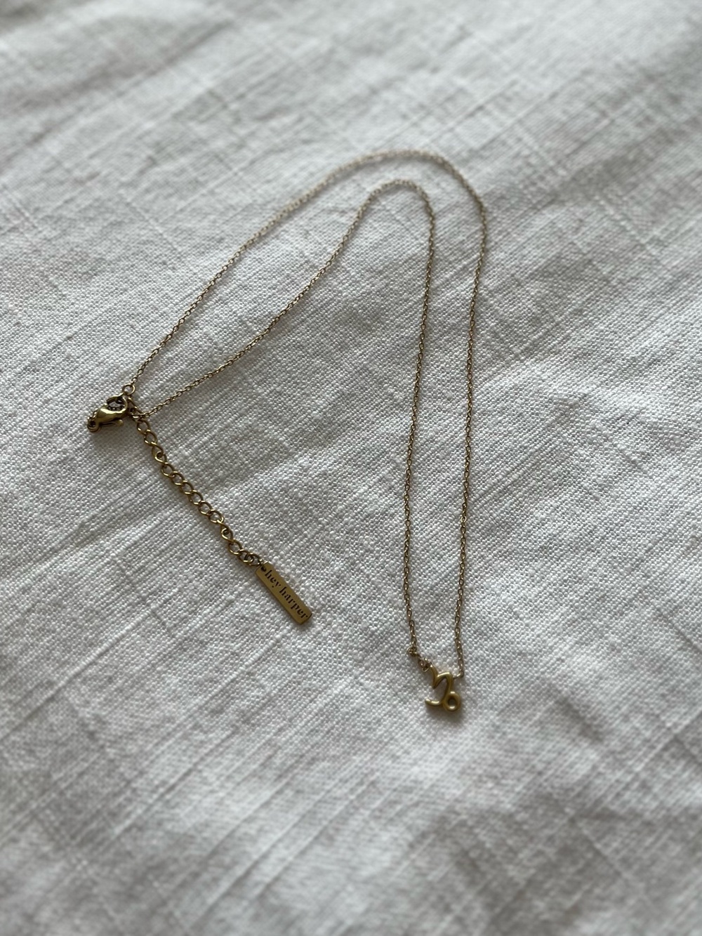 Hey Harper Waterproof Gold Capricorn Zodiac Necklace - Picture 3 of 5